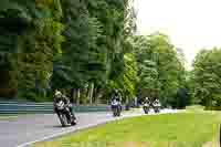 Lower Group Black Bikes